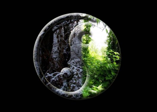 yin yang2
