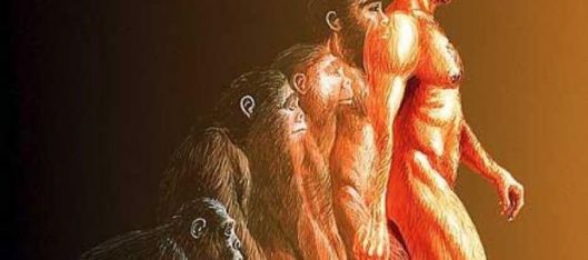 evoluzione1