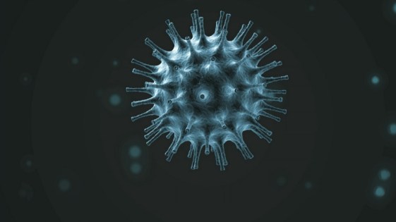 coronavirus