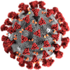 virus covid1